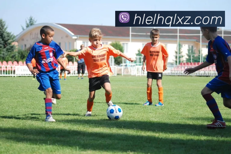 hth华体网页版登录入口平台生态图